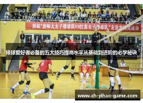 排球爱好者必备的五大技巧提高水平从基础到进阶的必学秘诀