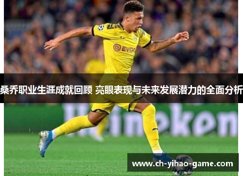 桑乔职业生涯成就回顾 亮眼表现与未来发展潜力的全面分析