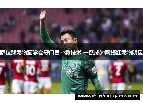 萨拉赫宠物猫学会守门员扑救技术 一跃成为网络红宠物明星 萨拉赫宠物猫学会守门员扑救技术 一跃成为网络红宠物明星